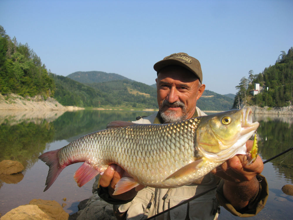 kapitalni klen